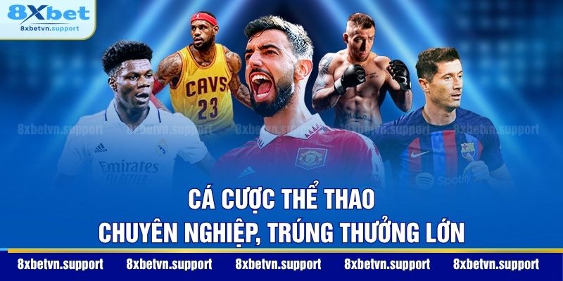 Cá cược thể thao chuyên nghiệp, trúng thưởng lớn